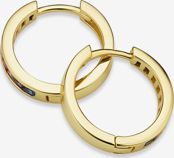 BRUNO BANANI Earrings in Gold: front