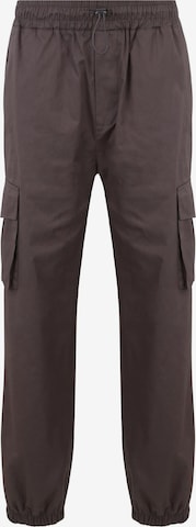 Loosefit Pantalon cargo 'Pure' DEF en gris : devant