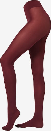 CALZEDONIA Fine Tights in Bordeaux, Item view