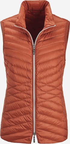 Goldner Weste in Braun: Vorderseite