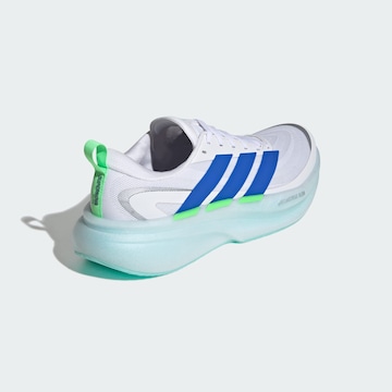 ADIDAS PERFORMANCE Running shoe in White