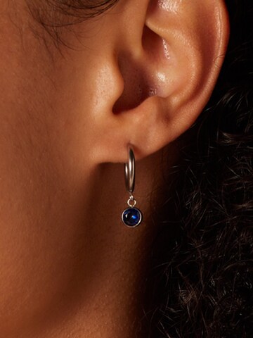 Lucardi Oorbellen in Zilver