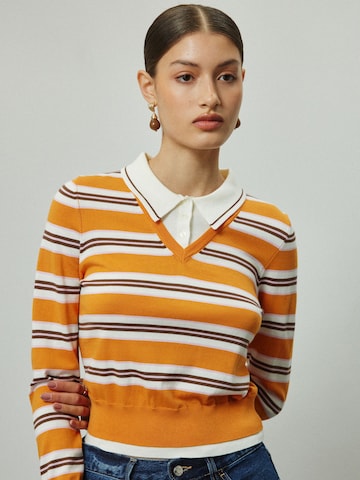 Pullover di Next in arancione