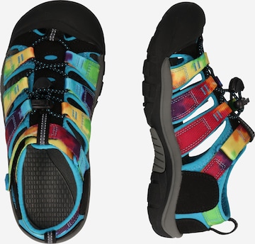 KEEN Sandals 'NEWPORT H2' in Mixed colors