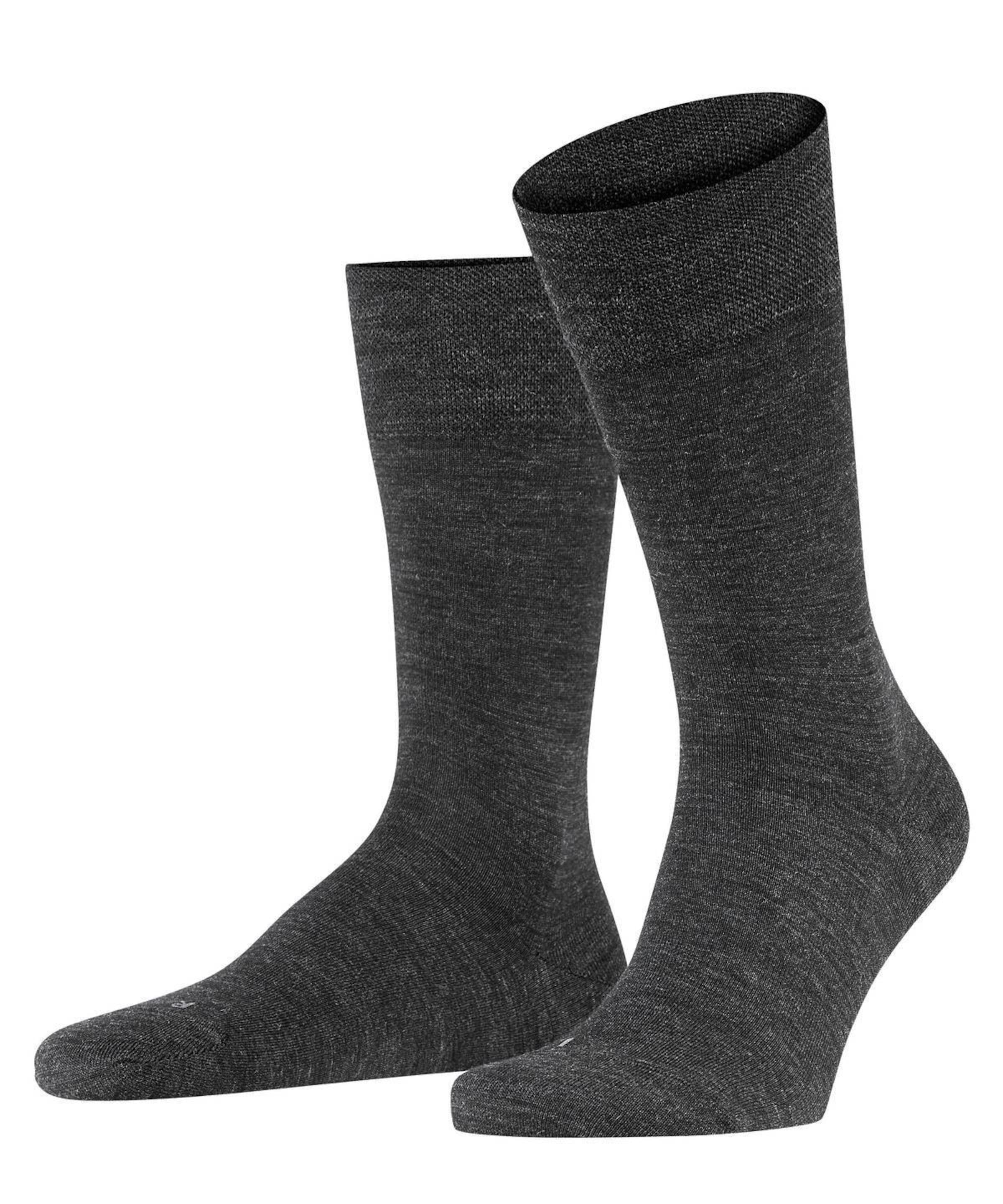 FALKE - Calcetines en gris: frente