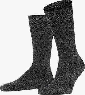 FALKE Socken in Grau: predná strana