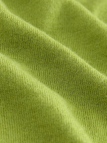 Next Knit cardigan 'N.Premium' in Green