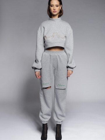CACTUS THE BRAND Яке за трениране 'Cactus the Brand, Bluza crop de trening cu strasuri, Gri, M' в сиво: отпред