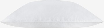 Aspero Pillow in White