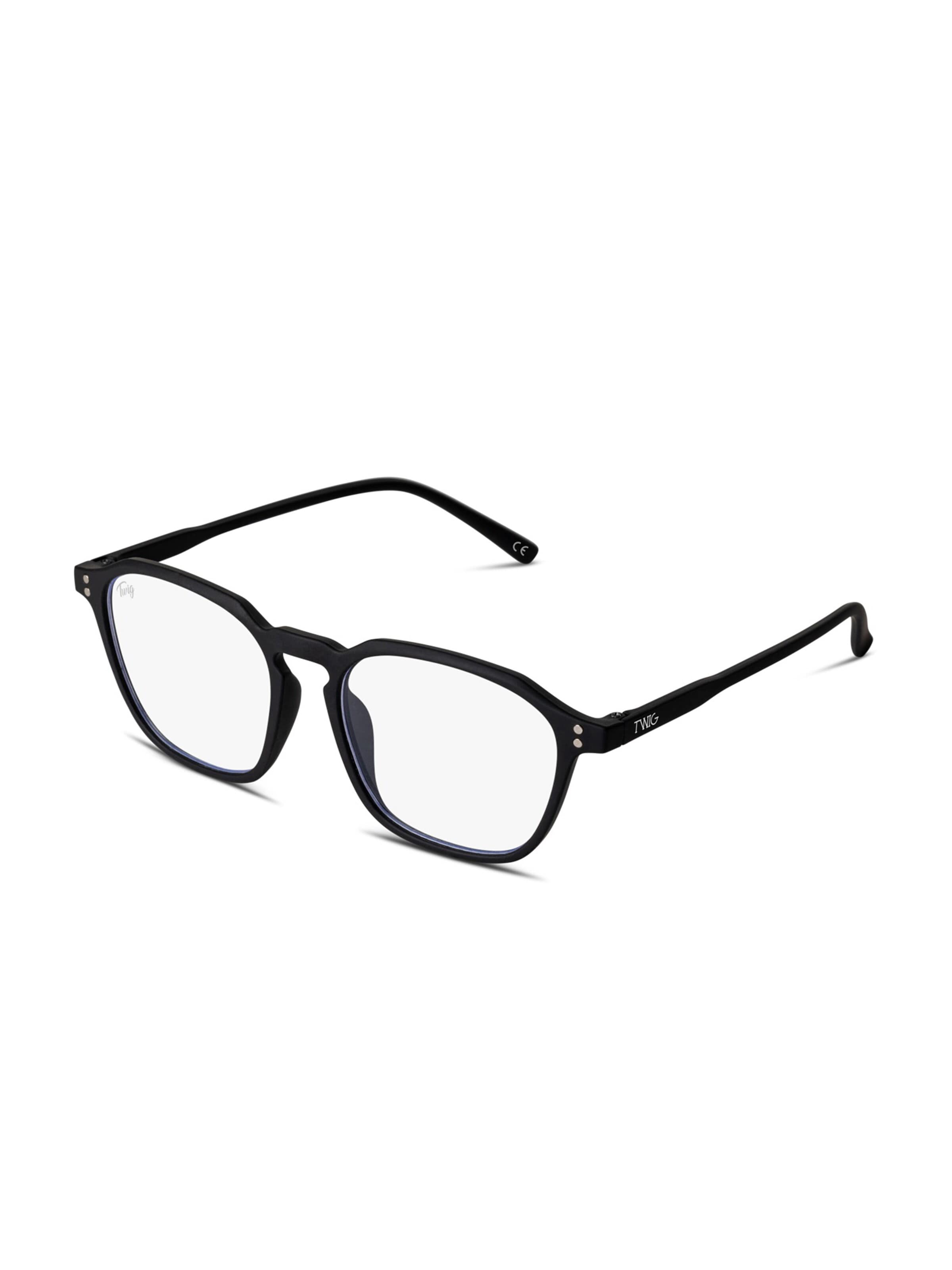 TWIG Concept Milano Glasses 'Baudry' in Black: front