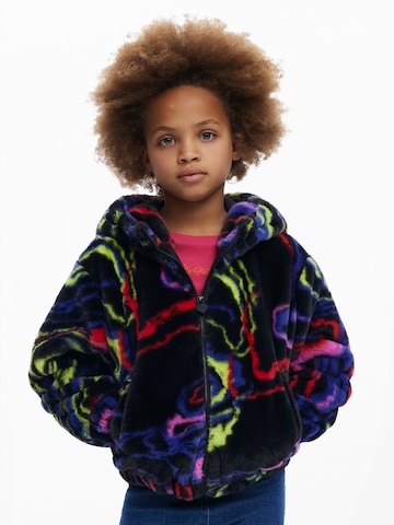 Desigual Зимняя куртка в Смешанный: спереди