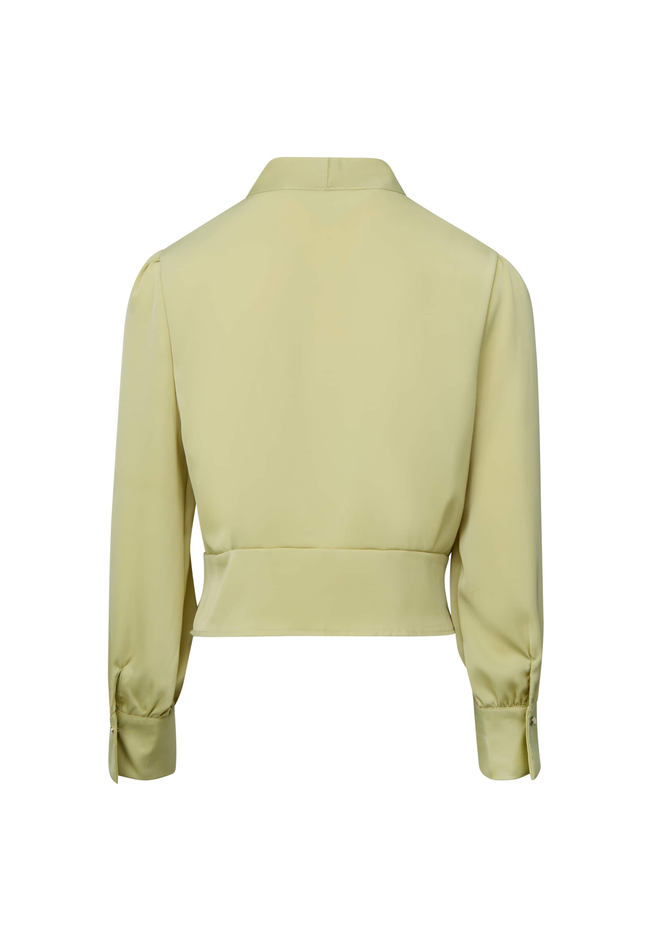 usha BLACK LABEL Blouse in Groen