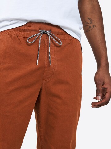 recolution Tapered Chino Pants in Brown
