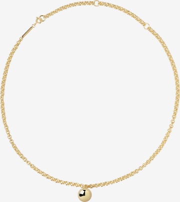 P D PAOLA Necklace in Gold: front