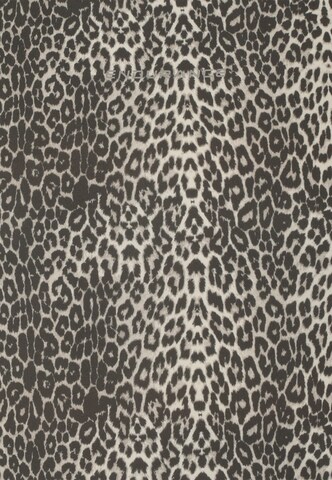 ENDURANCE Top 'Haire jr.' in Braun