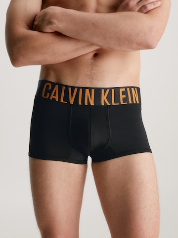 Calvin Klein Underwear Normální Boxerky – černá: přední strana