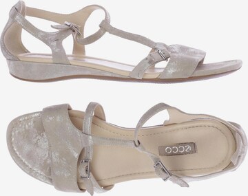 ECCO Sandalen 39 in Grau: predná strana