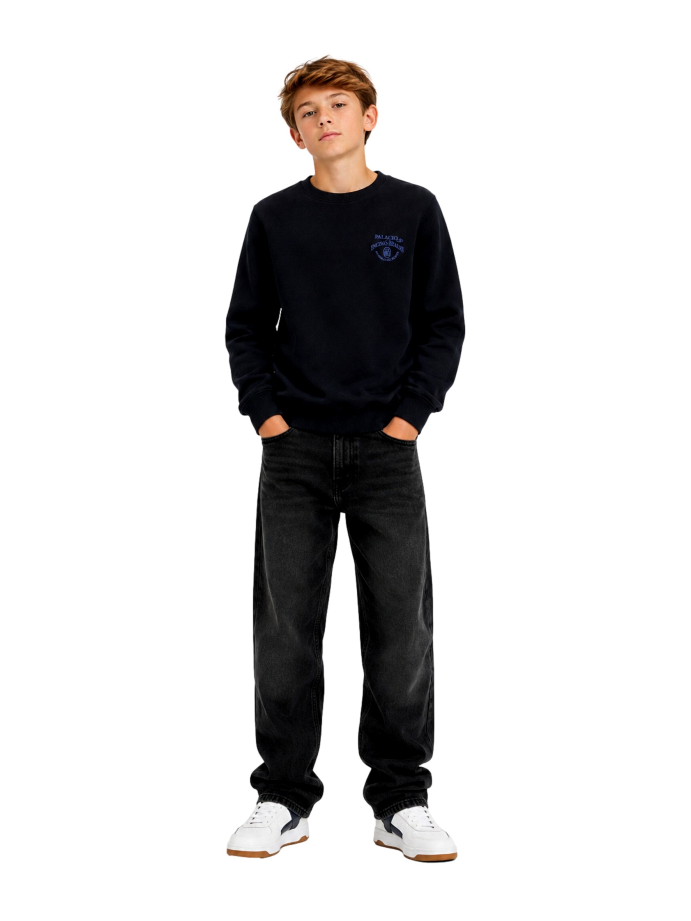Jack & Jones Junior Sweatshirt 'Chamberi' i sort