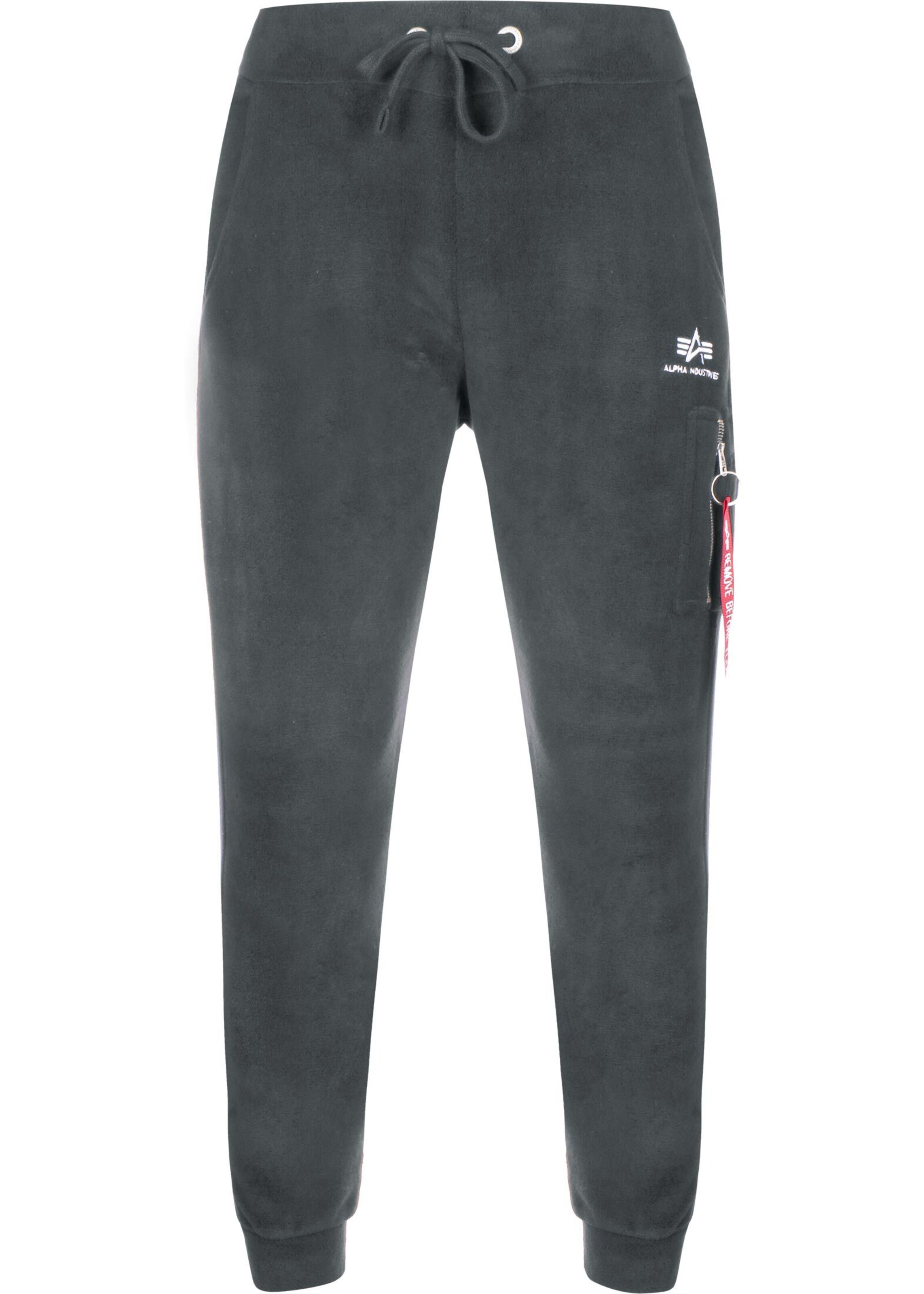 ALPHA INDUSTRIES Tapered Pants in Grey: front