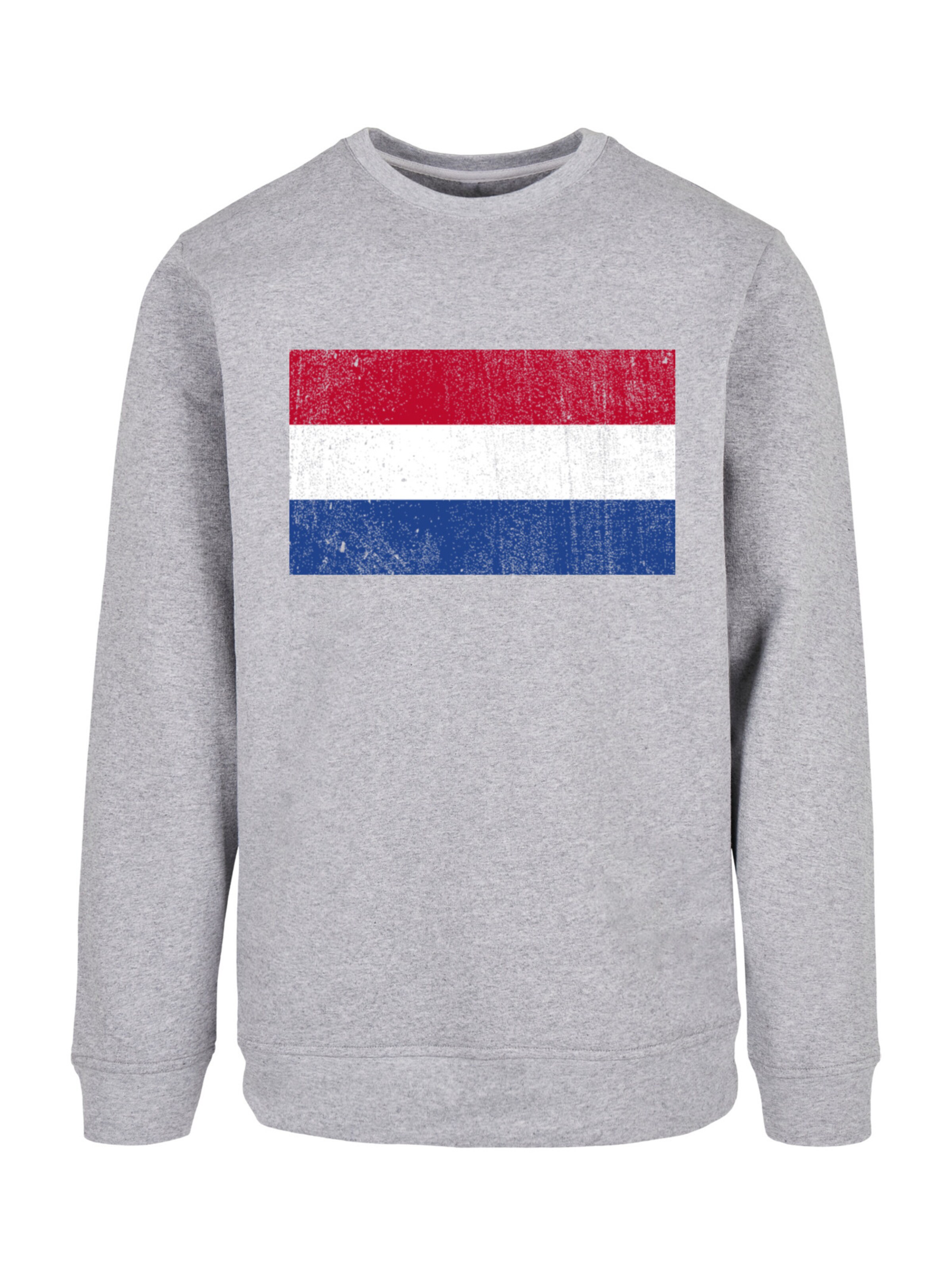Sweat-shirt F4NT4STIC en gris : devant
