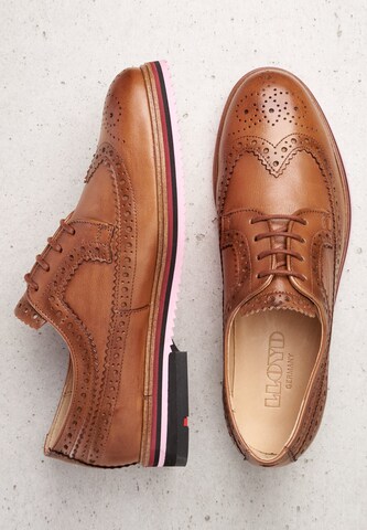 LLOYD Lace-Up Shoes in Brown