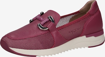 CAPRICE Slipper in Pink: Vorderseite
