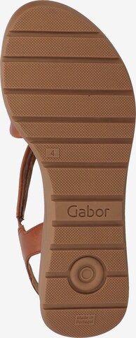 GABOR Strap Sandals in Brown