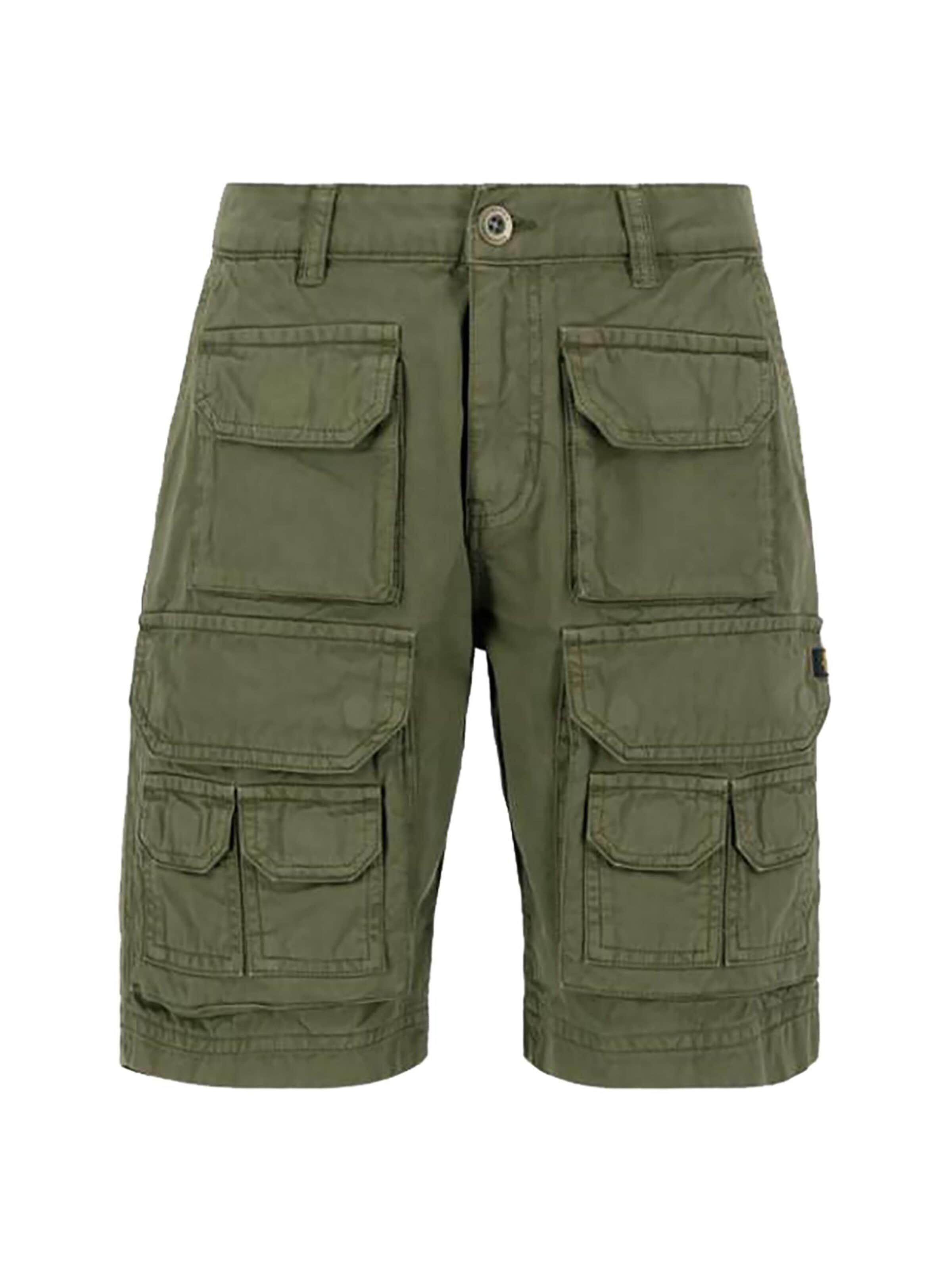 ALPHA INDUSTRIES Regular Cargo Pants 'Battle' in Green: front