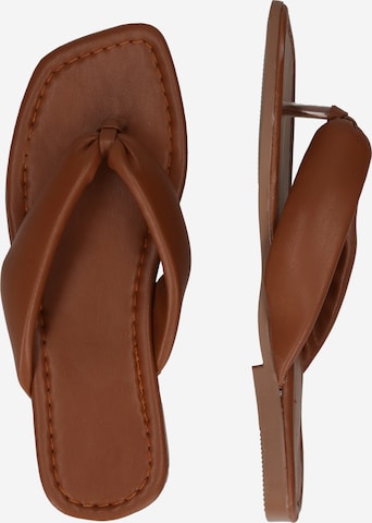 Trendyol Flip-Flops i brun