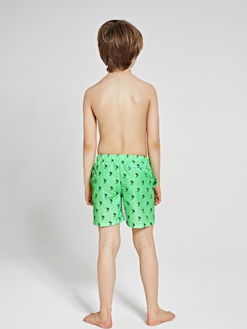 Shorts de bain Shiwi en vert