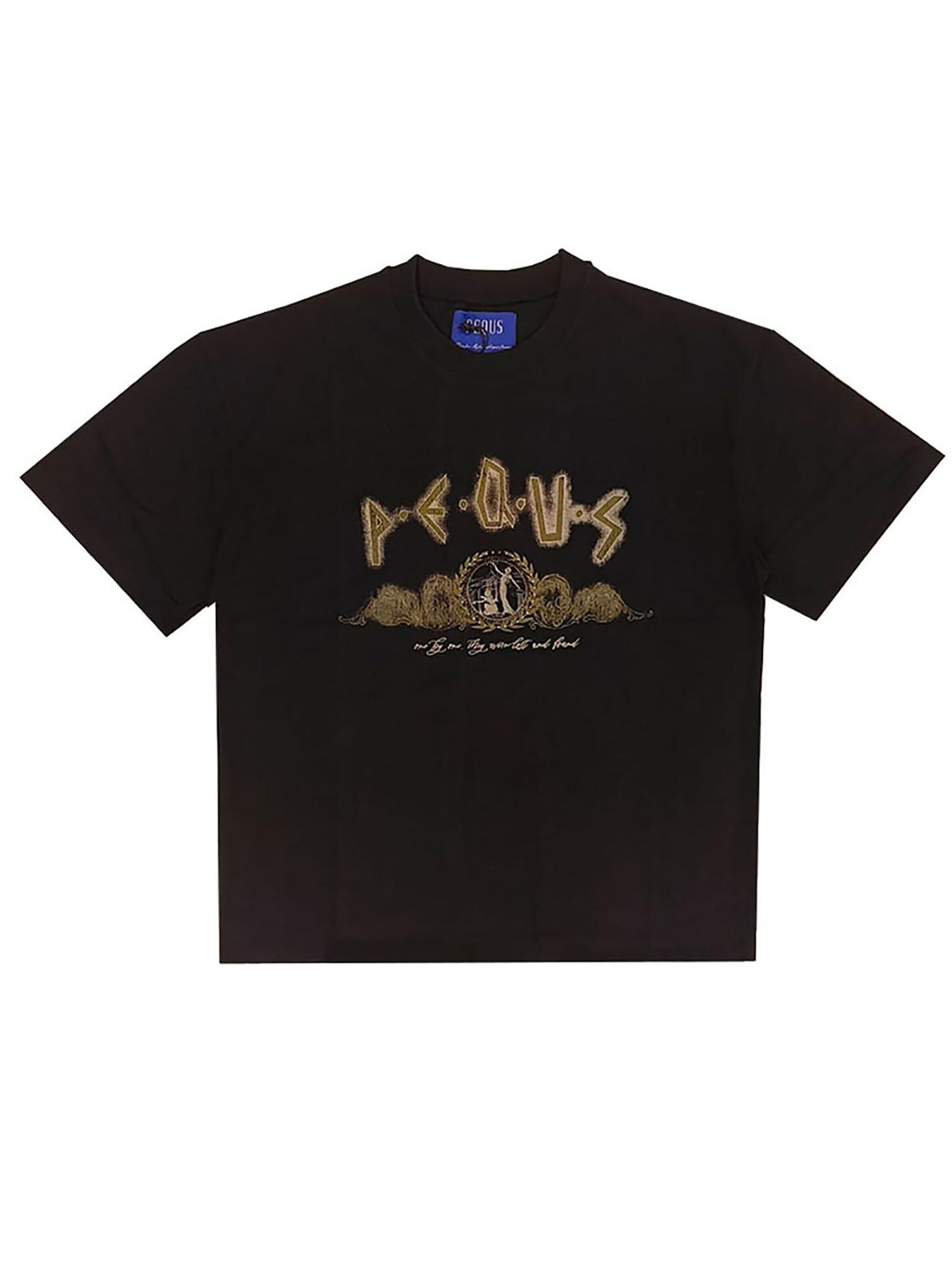 Pequs Shirt 'Ancient Painting' in Black: front