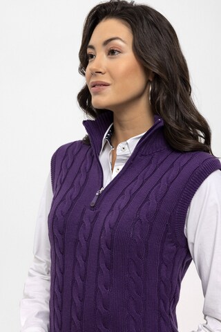 Felix Hardy Pullover in Lila