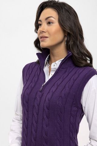 Felix Hardy Sweater in Purple