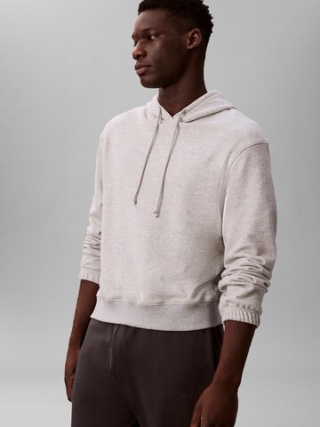 pelēks Calvin Klein Sportisks džemperis