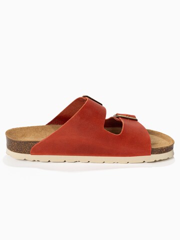 Bayton Mule 'Atlas' in Orange