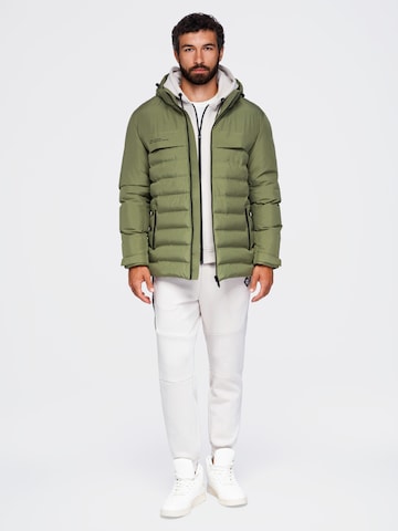 Ombre Winter jacket in Green