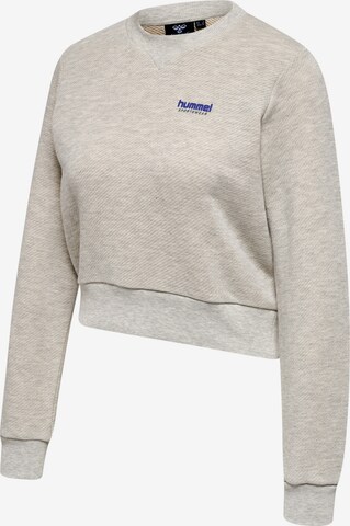 Hummel Sportpullover in Grau