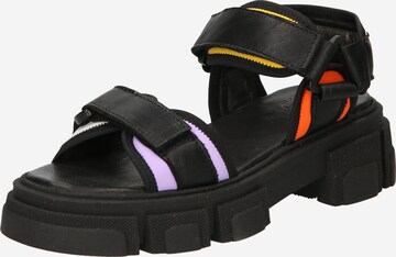 Apple of Eden Sandals 'ORLY' in Black: front