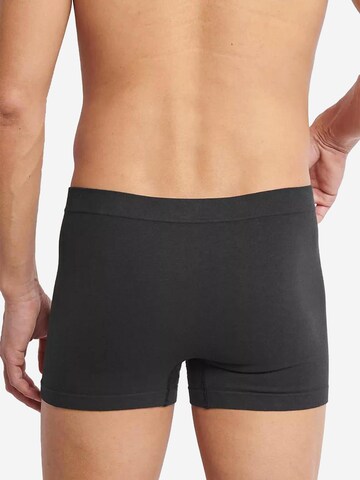 SLOGGI Boxer shorts 'men GO Smooth' in Black
