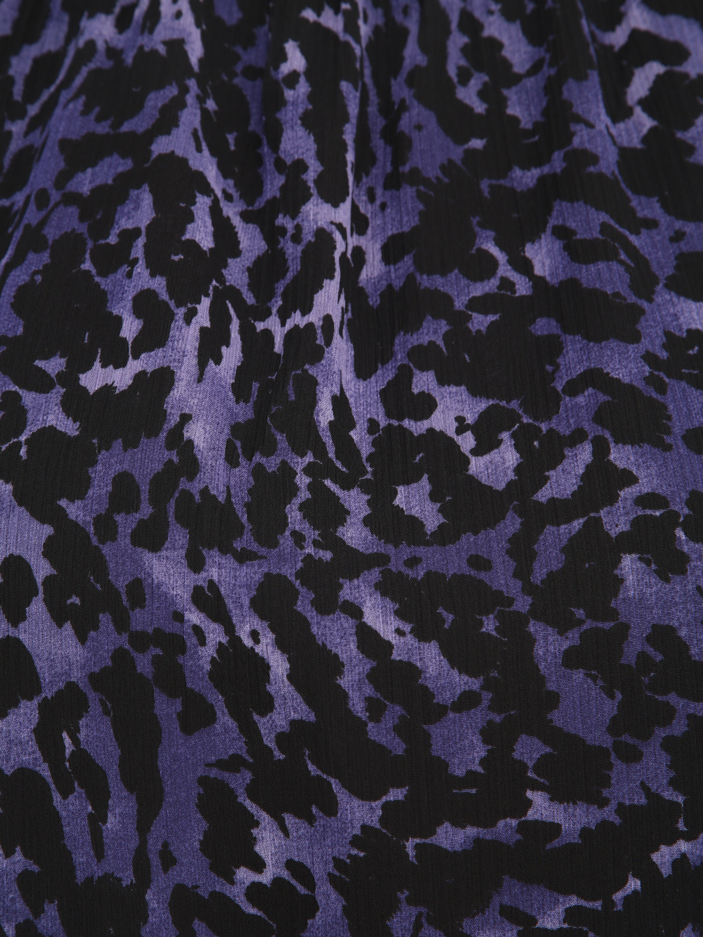 Dorothy Perkins Petite Blouse in Blue