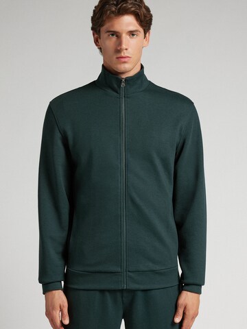 IUMAN Intimissimi Uomo Sweater in Green: front
