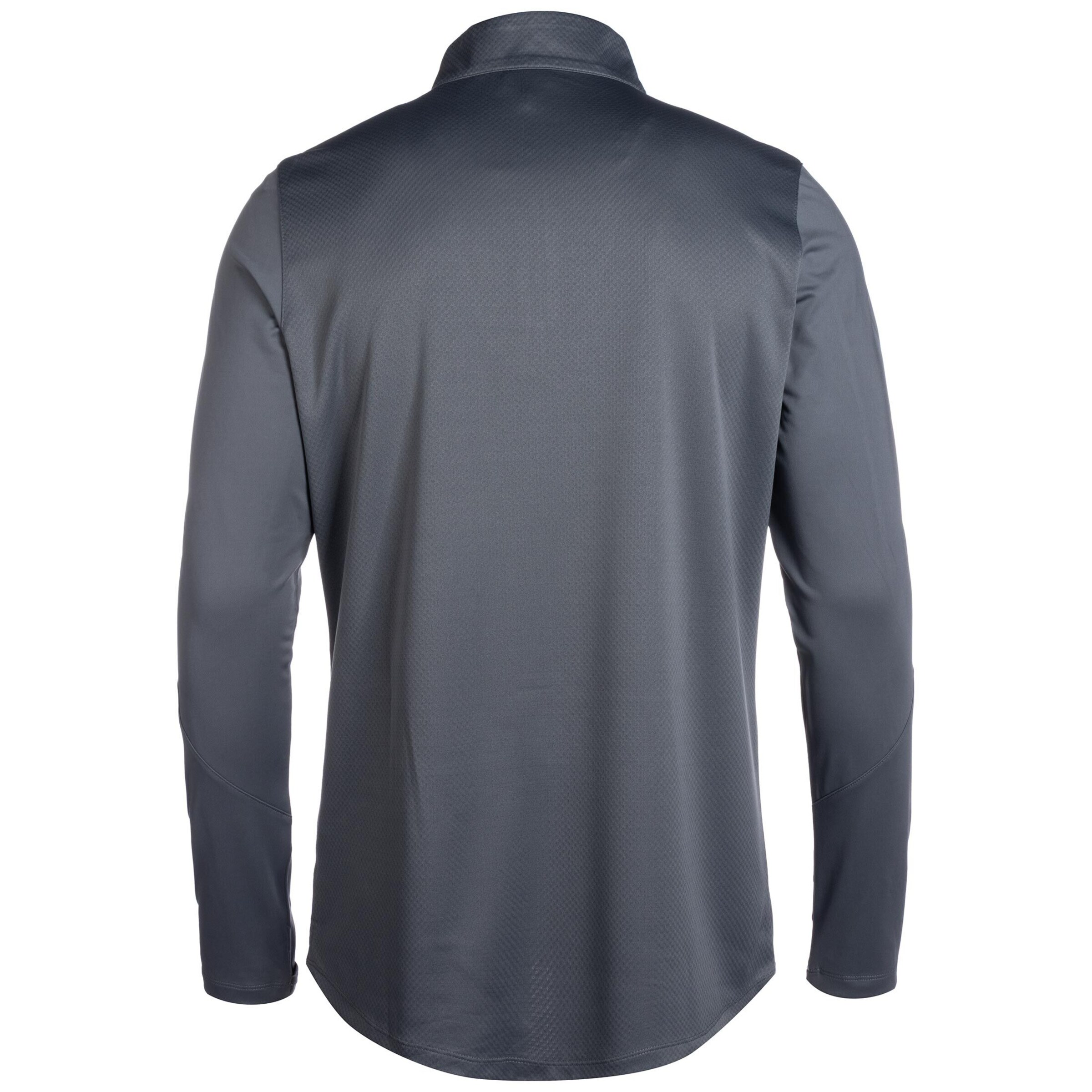 JAKO Funktionsskjorte 'Power' i grå