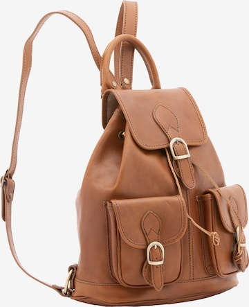 Sac à dos Viola Castellani en marron : devant