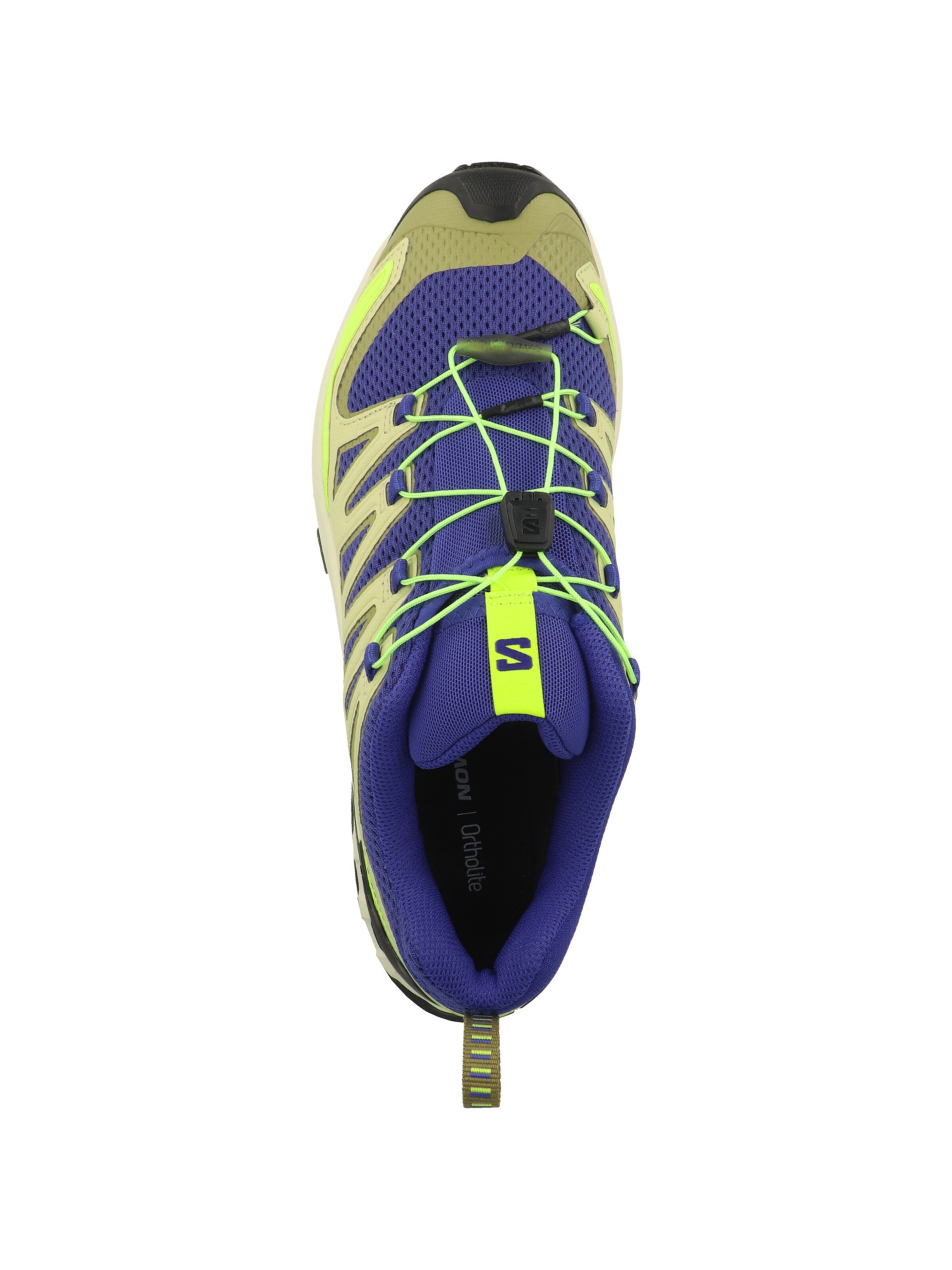SALOMON Laufschuhe ' XA Pro 3D V9' in Blau: oben
