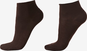 CALZEDONIA Socken in Braun: Vorderseite