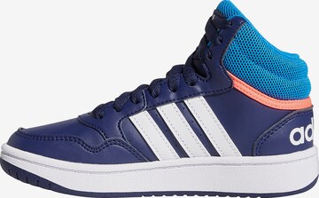 ADIDAS ORIGINALS Sneakers 'Hoops 3.0' in Blue: front