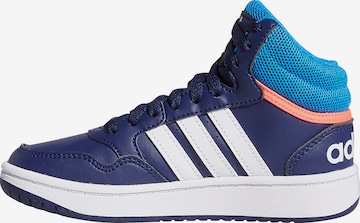 ADIDAS ORIGINALS High-Top Sneakers 'Hoops 3.0' in Blue: front