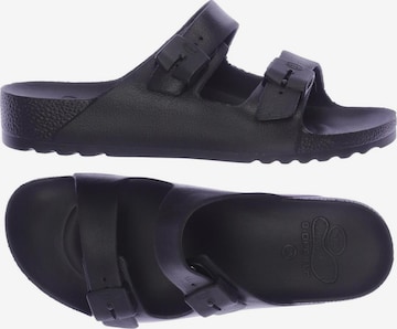 SCHOLL Sandalen 39 in Schwarz: predná strana