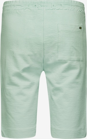 Regular Pantalon No Excess en vert