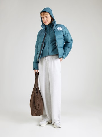mėlyna THE NORTH FACE Žieminė striukė '1996 Retro Nuptse'